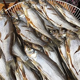 Seafood drying Solutions For KLR Heat Pump Dehydrators